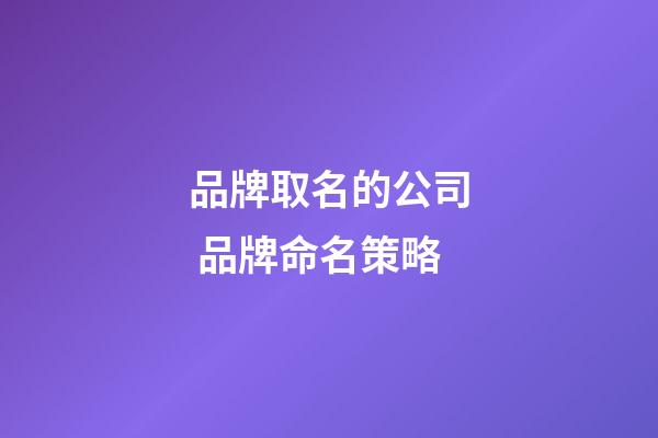 品牌取名的公司 品牌命名策略-第1张-公司起名-玄机派